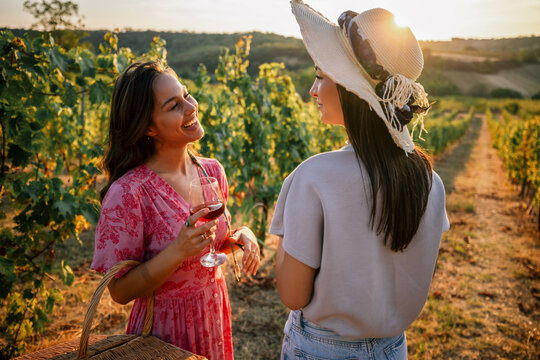 Two young women chatting and laughing together in a sunny vineyard