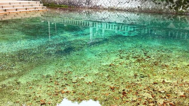 山口県美祢市 日本名水百選の別府弁天池