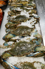 Fresh blue crabs on ice at a seafood market in the afternoon © mira_y