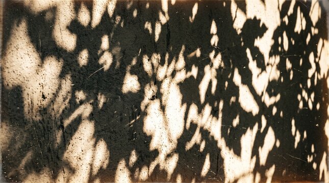 palm tree branches, Retro film grain background with warm red-orange light leak overlay, vintage distressed texture with dust and scratch, analog noise, grunge effect, blur light leaks and rays of lig