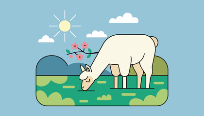 Fototapeta premium Serene landscape with a fluffy white llama or alpaca grazing peacefully on a green pasture under a sunny sky with clouds.