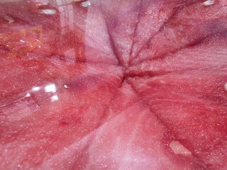 Close Up Detail of Sliced Watermelon © lulus