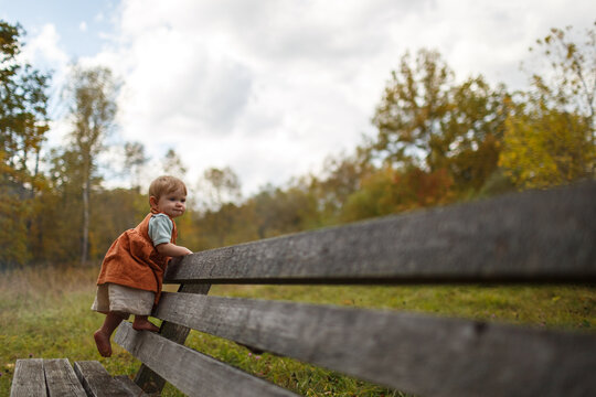 An infant under one year old climbs onto a wooden bench in an outdoor autumn setting