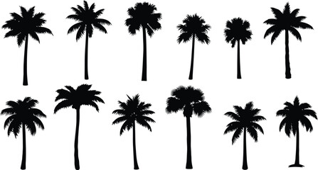 Naklejka premium A diverse collection of black palm tree silhouettes set against a clean white backdrop evoking a tropical island paradise lifestyle