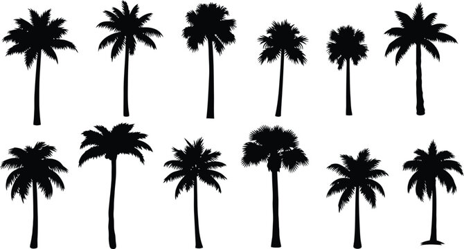 A diverse collection of black palm tree silhouettes set against a clean white backdrop evoking a tropical island paradise lifestyle