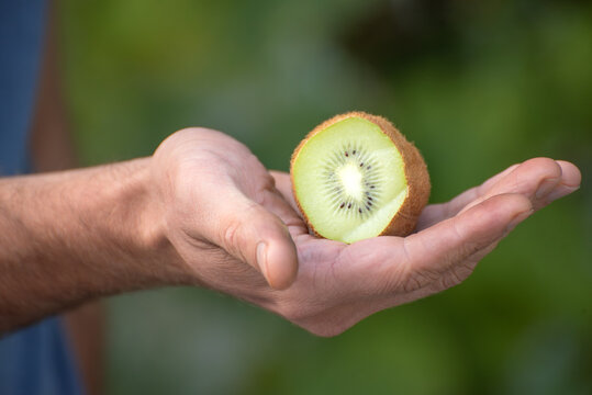 Hand holding a freshly sliced kiwi fruit, showing its vibrant green pulp and black seeds, symbolizing healthy eating, natural freshness, and a wholesome diet