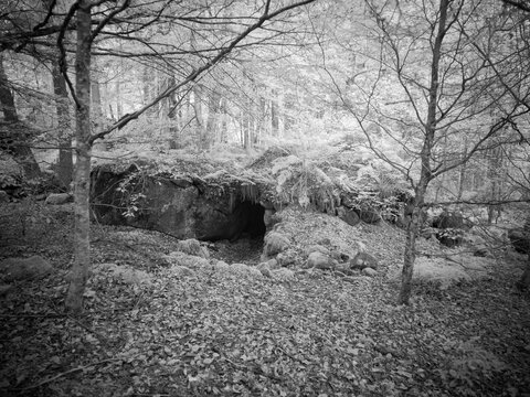 Exploring a cave entrance surrounded by trees and foliage in a forest using infrared photography