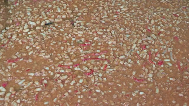 a large batch of traditional Romanian mashed or baked white beans mixed with a thick reddish sauce and pieces of red pepper and onion