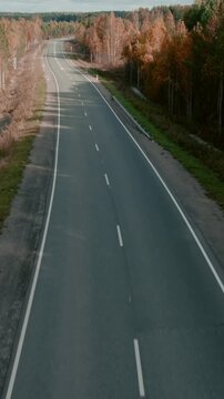 Drone footage of a long empty asphalt road cutting through colorful autumn forest in the Ural Mountains, Russia, with birch and pine trees and clear daylight