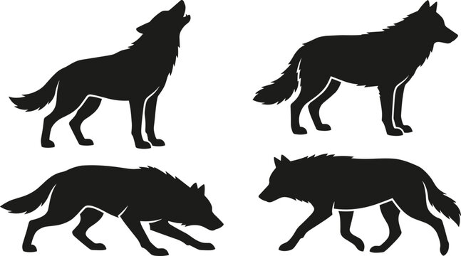Wolf vector silhouette set featuring wild wolves in howling standing stalking and prowling body positions isolated white