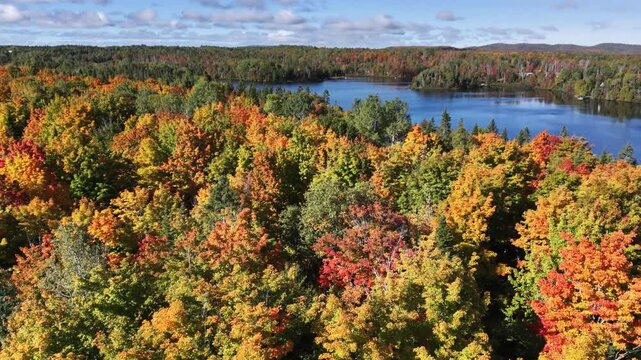 Drone footage captures a panoramic autumn view of the Matapedia Valley, featuring multicolored woodland, a lake shoreline and a partly cloudy blue sky near Saint-Mo&iuml;se.