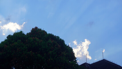 Dense leafy tree and rooftop silhouetted against a soft blue evening sky, sunlit clouds drifting overhead. © anungcamui