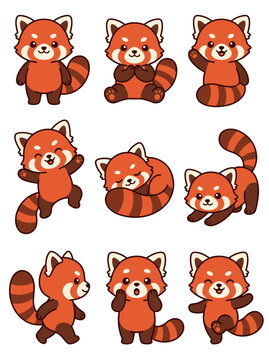 Adorable red panda vector illustration set displaying multiple cute poses and expressions in a clean flat graphic design style format