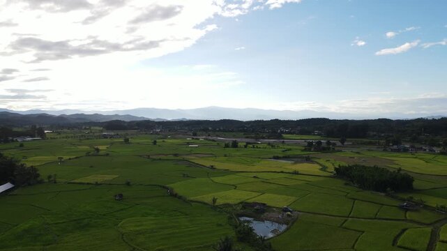 Lush green rice field rural landscape with mountain view under blue sky and scattered clouds, peaceful countryside agriculture outdoor natural beauty, scenic tranquil summer nature