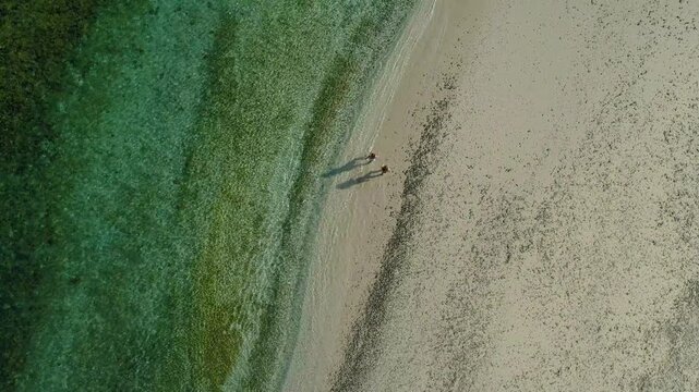 Aerial zenithal view of a young couple holding hands and walking barefoot on the shore of a pristine white sand beach in Coiba National Park, Panama, with crystal clear turquoise water - stock video