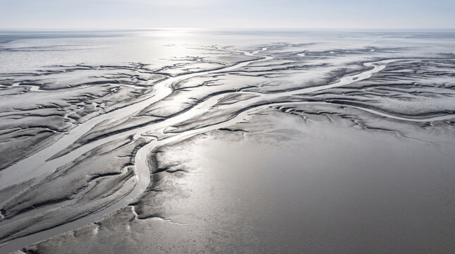 Silver backlit tidal flat channels on Korean west coast in winter, monochrome landscape