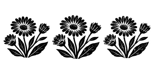 Set of three calendula flower illustrations with an open blossom, buds and leaves, shown in clean and textured linocut styles. Black botanical vectors isolated on white. © C Design Studio