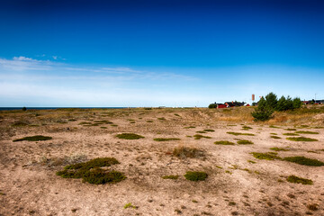 Fototapeta premium Green Coastal Nature Scenery in Hailuoto Island, Finland