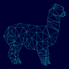 Obraz premium Alpaca in low poly triangulation triangulated polygonal electric cyan blue vibrant aqua neon color vector illustration image outline contour line