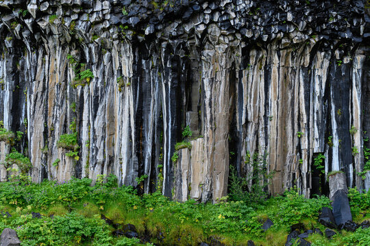 Der Wasserfall Svartifoss in Island