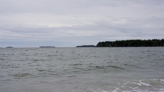 Pebble beach waves gently breaking along Englishman Bay at Roque Bluffs State Park in Washington County, Maine, under overcast skies.