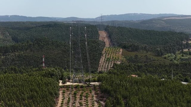 Massive high voltage power lines and industrial pylons cut a stark path across a deforested section of a forest, highlighting the intersection of industry and nature.
