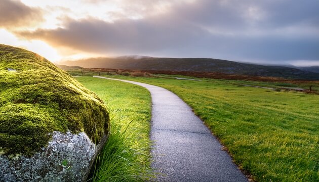 moss covered boulder beside paved path in grassy landscape