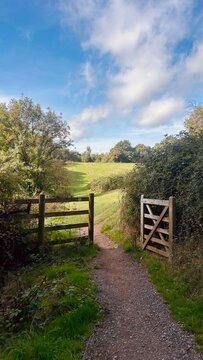 wooden fence in the countryside