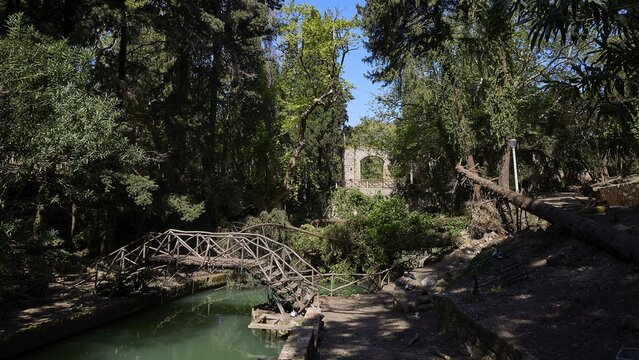 Wooden bridge in the shade of a dense forest over flowing water, Rodini Park, municipal park, Rhodes Town, Rhodes, Dodecanese, Greek Islands, Greece