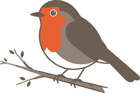 robin on branch
