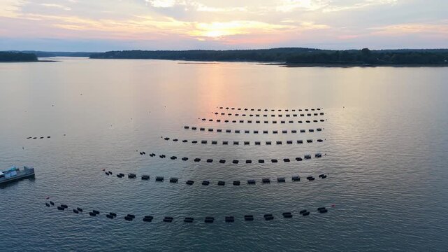 Aquaculture oyster farm with floating cages organized in rows on calm water as the sun sets over Casco Bay near Freeport, Maine.