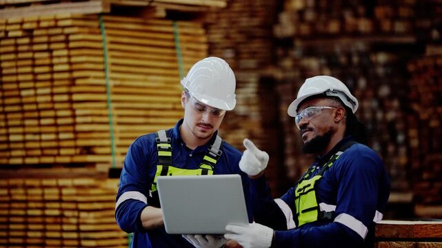 Latino engineer adjusts his hard hat and checks the laptop while a Black supervisor looks along the stacked sawn timber in the warehouse, in a timber factory, 4K
