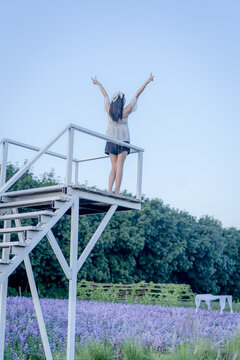Rear view of a young Asian woman standing with arms raised on a white wooden viewing platform overlooking a purple flower field in nature during sunny outdoor leisure travel vacation in a scenic lands