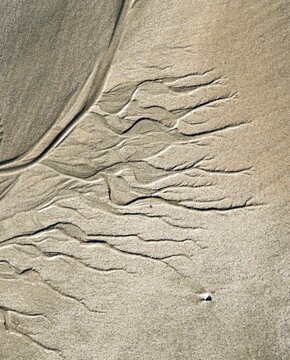Meandering pattern of run-off water in sand, beach, Porpoise Bay, Catlins, Southland, South Island, New Zealand