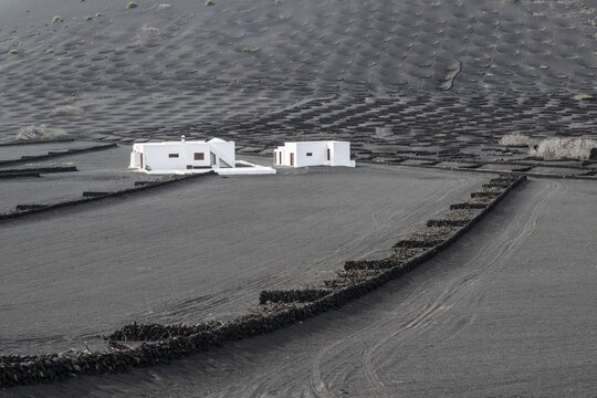 Wine growing in volcanic ash pits protected by dry stone walls, Yaiza, Lanzarote, Canary Islands, Spain