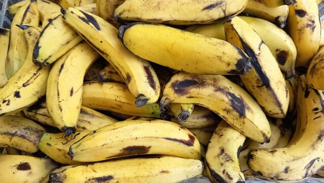 bunch of bananas