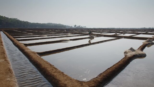 Salt Farming A Dedicated Worker Responsibly Tending to Expansive Salt Pans Under a Clear, Blue Sky in India