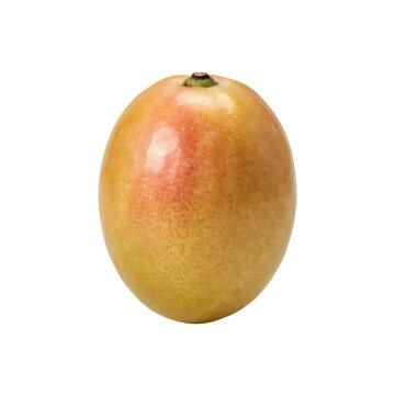 A single ripe mango fruit with smooth skin in shades of yellow and red, showing a natural oval shape, isolated on a white background, for food