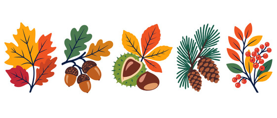 Fototapeta premium Autumn leaves acorns and pine cone branches illustration
