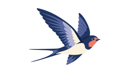 Obraz premium Swallow bird soaring illustration