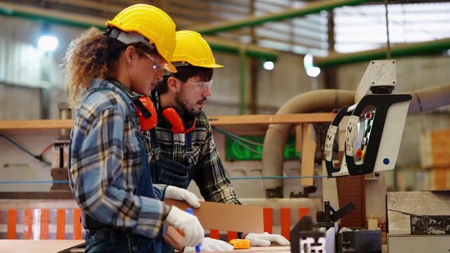 Female carpenter sets the marker aside and reaches for the start button of the panel saw while her bearded partner steadies the board, sustainable wood industry