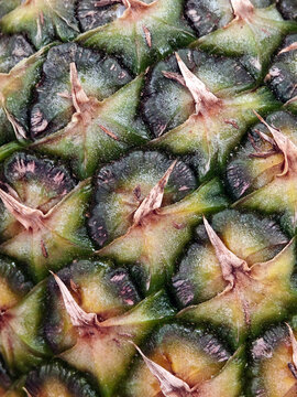 Pineapple skin as a tight mosaic of spiky green and gold eyes