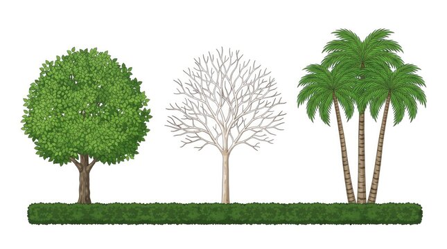 tree with green grass