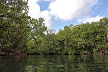 Fototapeta premium Lush green trees line the calm water at main pool swimming hole, Berry Springs Nature Park, Northern Territory, NT, Australia. Beautiful tropical outback location for travel and tourism. Copy space