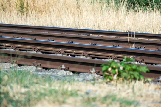 Rusty rails run parallel through golden grass