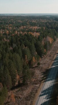 Drone footage of a long empty asphalt road cutting through mixed conifer and birch forest in autumn colors, Ural Mountains region, Russia, clear day
