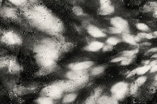 Abstract monochrome grain texture with dappled light patterns for editorial layouts, luxury branding, and contemporary graphic backgrounds