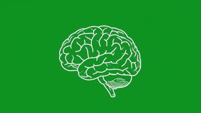 Stylized white outline of a human brain with intricate convolutions is displayed on a solid green backdrop, representing thought.