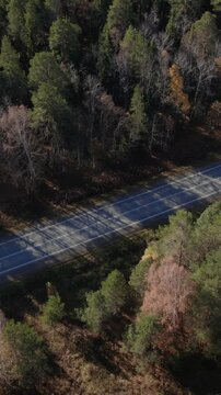 Drone footage of a quiet two lane road cutting through mixed conifer and birch forest in autumn colors, Ural Mountains, Russia, sunny day with long shadows
