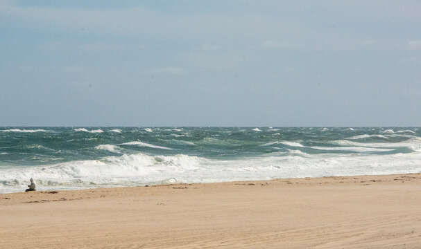beach and waves